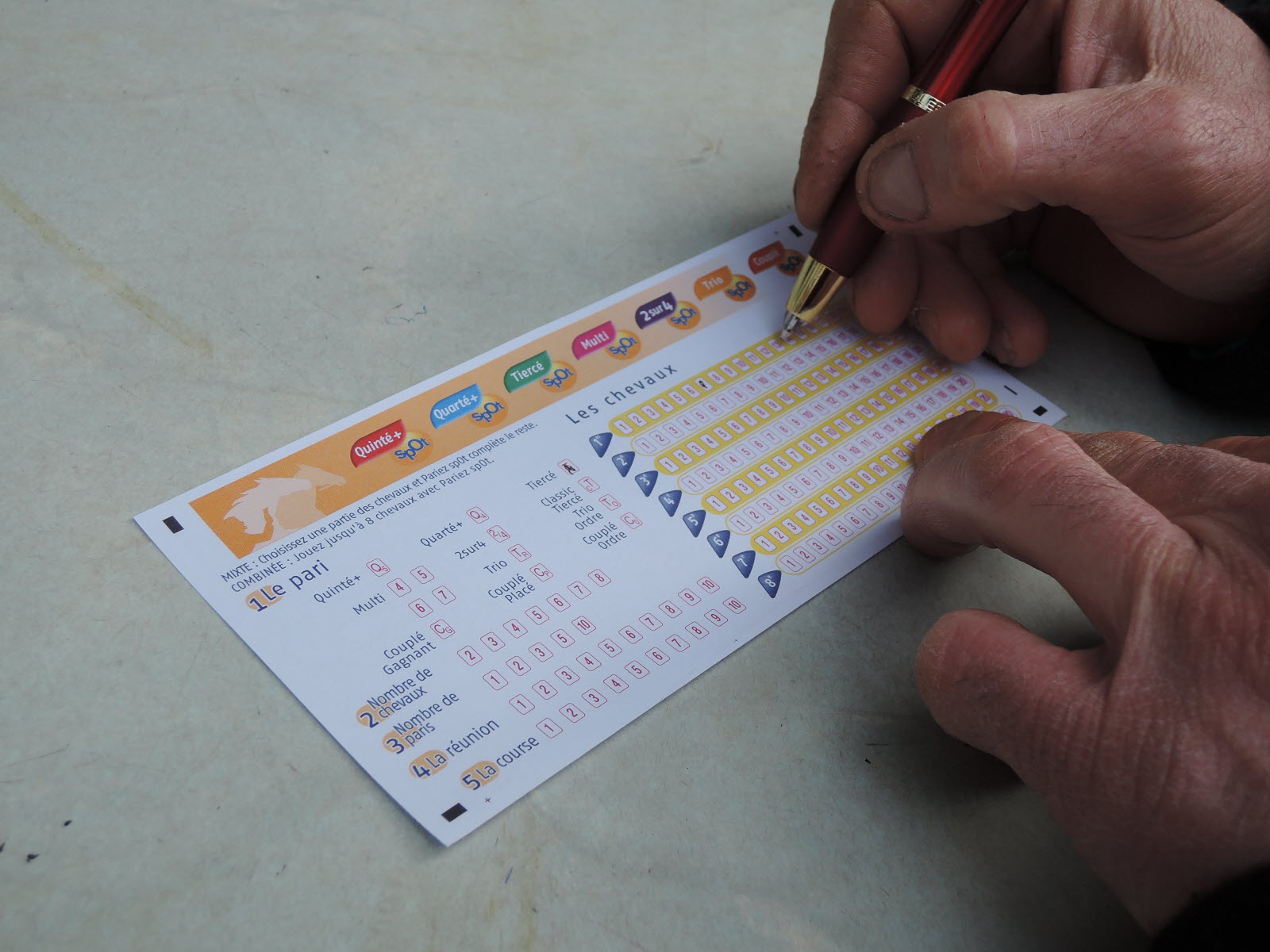 Journaux turf